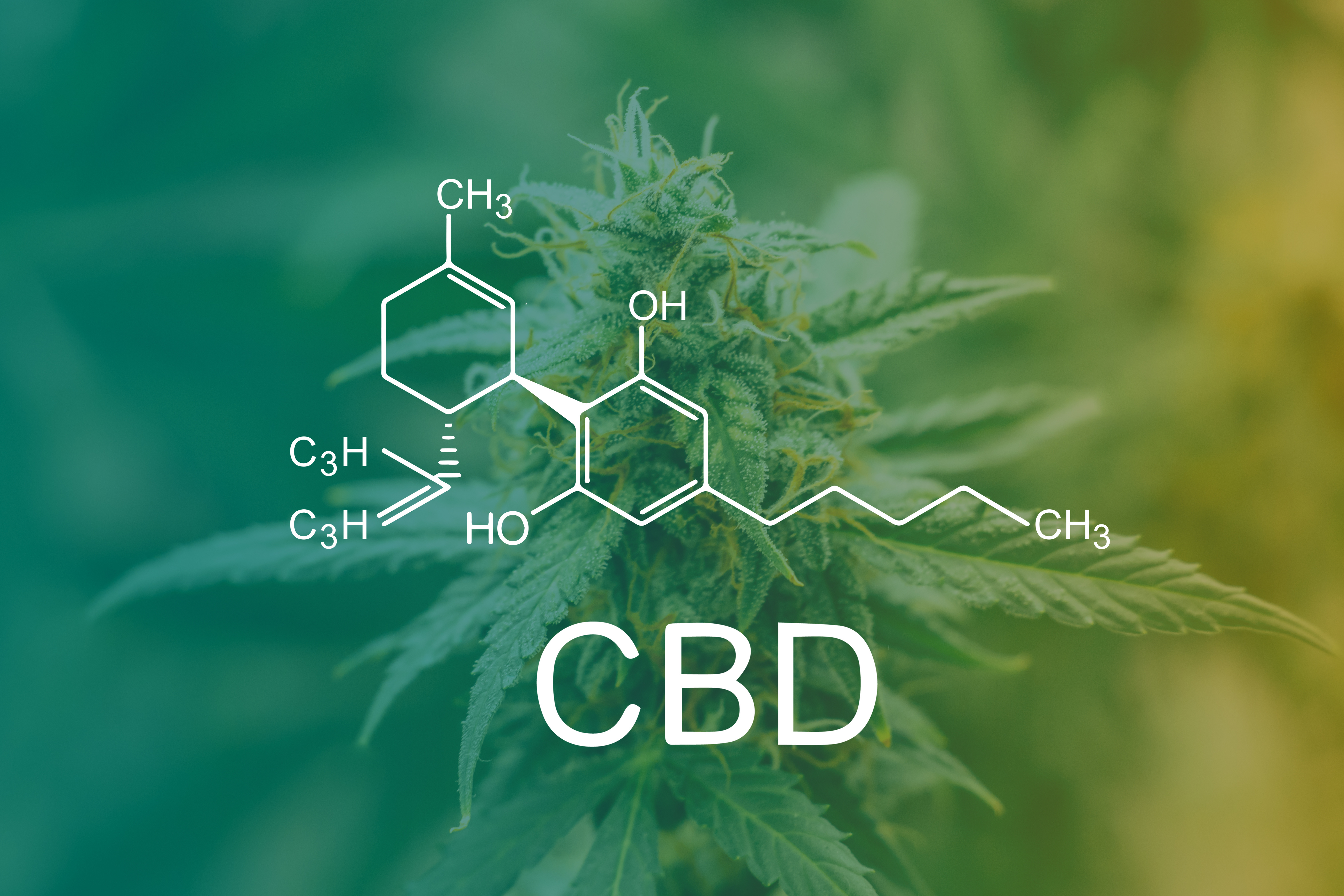 CBD CBD