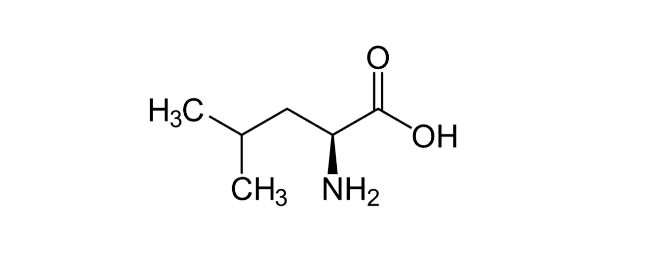 L-Leucin
