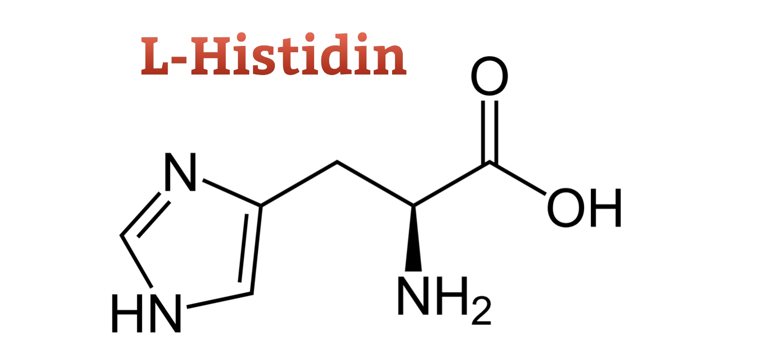 L-Histidin