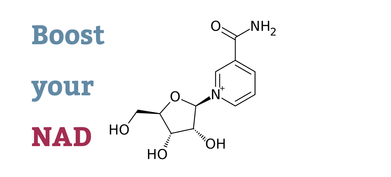 Nicotinamid Ribosid